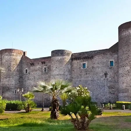 L'albero Della Catania